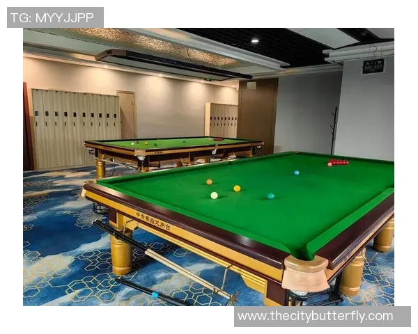 探索台球桌品牌的选择与推荐助你找到理想的台球桌