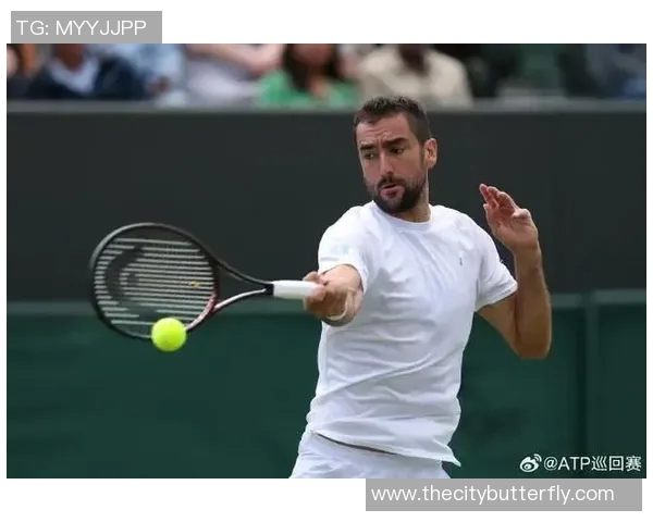 温网经典对决西里奇与穆勒谁将书写新的传奇篇章