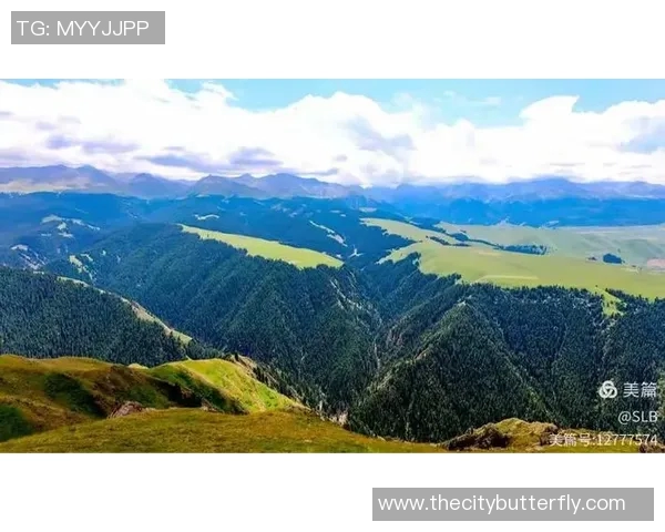 喀拉峻足球比赛精彩瞬间回放全记录与分析