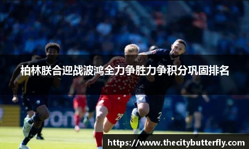 JJB竞技宝新版本